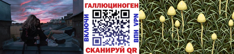 Галлюциногенные грибы Cubensis  Новошахтинск 