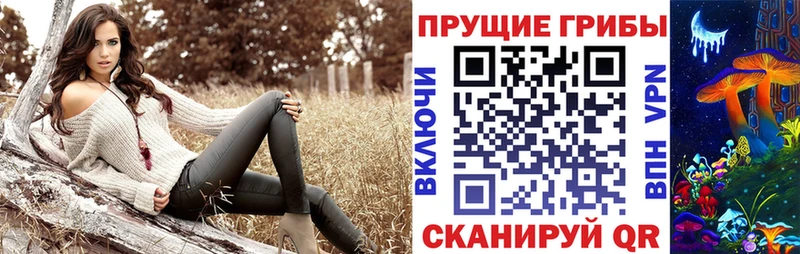 Галлюциногенные грибы Psilocybe Новошахтинск