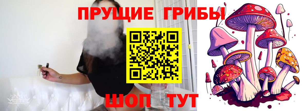 Галлюциногенные грибы Cubensis  Псилоцибиновые грибы MAGIC MUSHROOMS  Вход с VPN  Новошахтинск 