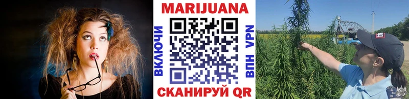 Конопля сатива  Новошахтинск 